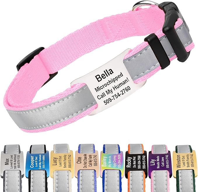 GoTags Reflective Personalized Dog Collar with Nameplate, Adjustable Dog Collar with Custom Engraved Steel Slide On Pet ID Tag, Silent, No Noise Dog Tag for Large Medium or Small (Pink, Medium)