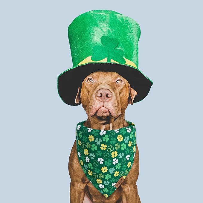 St. Patrick's Day Dog Bandana - 2 Pack Triangle Shamrock Dog Bandanas for Boys & Girls, Reversible Leprechaun Pet Scarf, Premium Durable Fabric, Holiday Bandana for Small and Medium Dogs (Small)