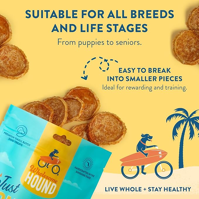 Just Chicken Chips | Single Premium Ingredient & Healthy Treats | All Natural Training Treats for Small, Medium, and Large Dog Breeds | Made in USA - 3oz