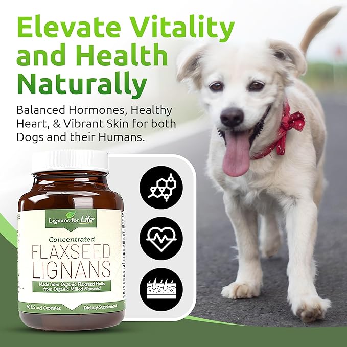 Lignans For Life Flaxseed Lignans for Dogs & People - Organic Flaxseed Supplement for Hormone Support, 15mg 90 Capsules, Flax Seed for Dogs & Women, High-Fiber