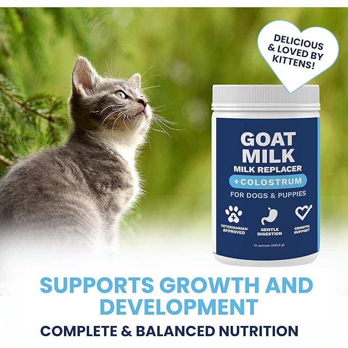 Under the Weather Kitten Milk Replacement Powder + Colostrum for Cats & Kittens | Goat Milk Replacer Powder | Goat-Based Formula with Colostrum for Immune & Digestive Support - 12 oz