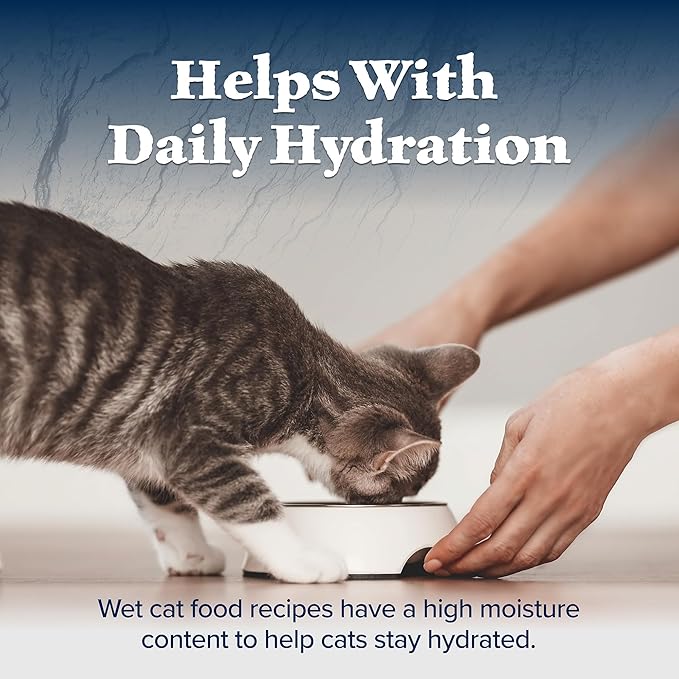 Blue Buffalo Wilderness Kitten Food, High-Protein & Grain-Free Wet Cat Food Paté Variety Pack, Chicken & Salmon Recipes, 3-oz Cans (6 Count, 3 of Each)