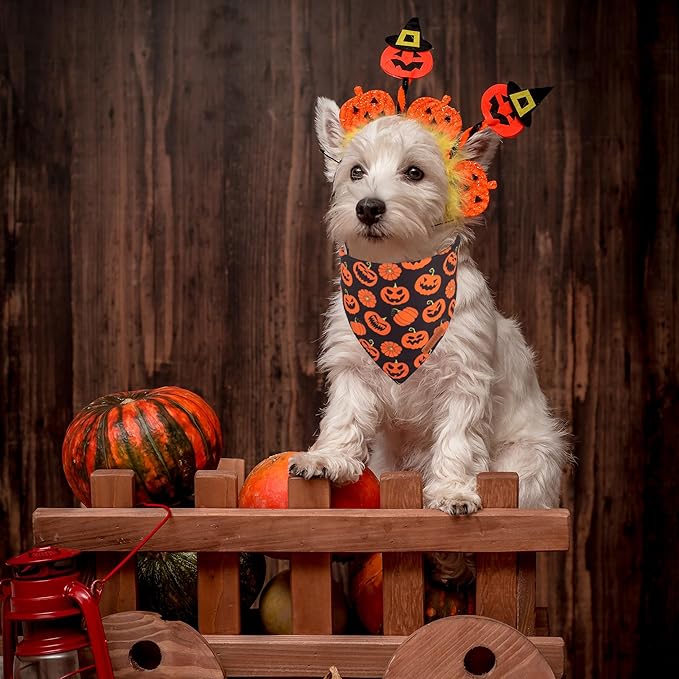 ADOGGYGO Halloween Dog Bandana, Pumpkin Bat Pet Scarf, Premium Durable Fabric, Orange Black Halloween Bandanas for Small Dogs Cats Puppies (Small)