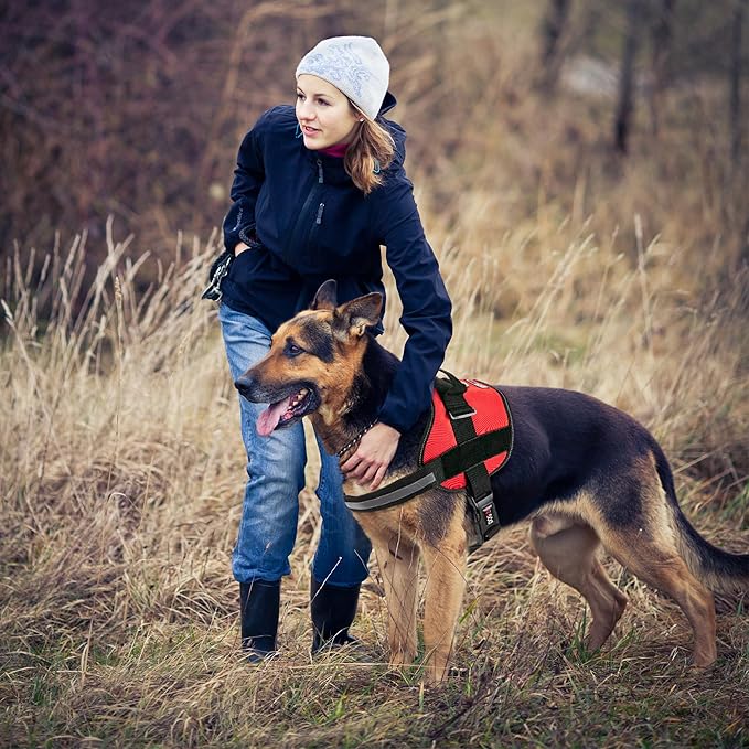 Dogline Dog Harness, Reflective No-Pull Adjustable Vest with Handle for Walking, Training, Service Breathable No - Choke Harness for Small, Medium or Large Dogs Room for Patches Girth 33"-46" in Red
