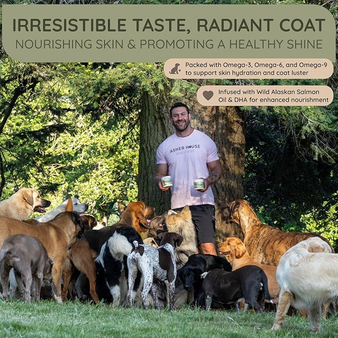 Asher House Wellness Skin & Coat Chews - Dog Itching Skin Relief with Omega 3, 6, 9, Fish Oil, Biotin - Dogs Itchy Paw Licking Chewable Treats, Puppy Dry Itch Supplement - 120 Soft Chews