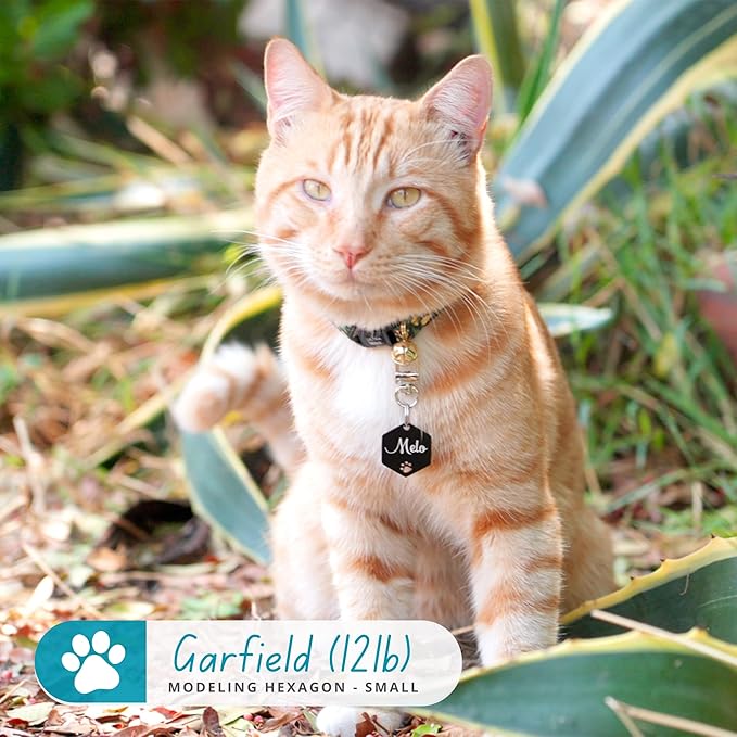 Ultra Joys Dog Tags Personalized for Pets - Hollow Paw Custom Pet ID Tag - Engraved Dog Tag for Small, Large Dogs - Small Hexagon in Black