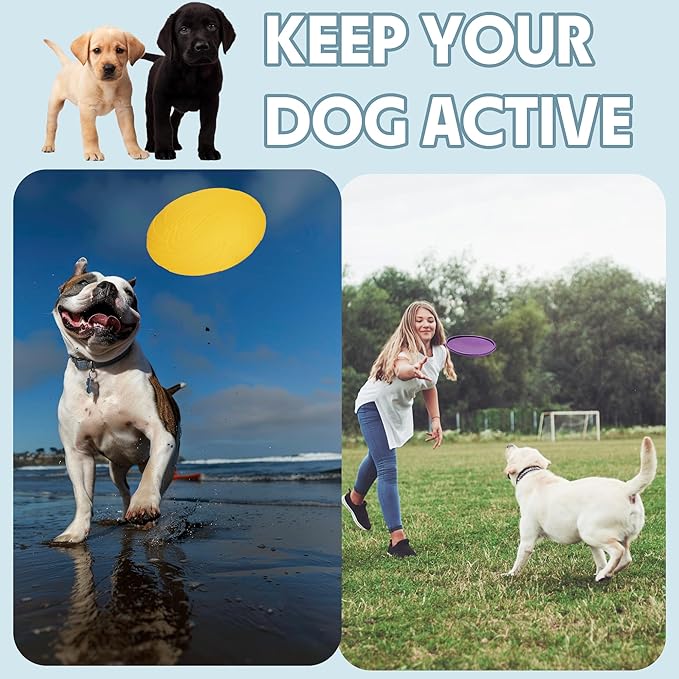 Indestructible Dog Flying Disc, Interactive Dog Flyer Toys, Soft Dog Catch Fetch Toys for Small Medium Large Dogs, Floats in Water & Safe on Teeth, 9.05 in (Purple and Yellow, 2Pcs)