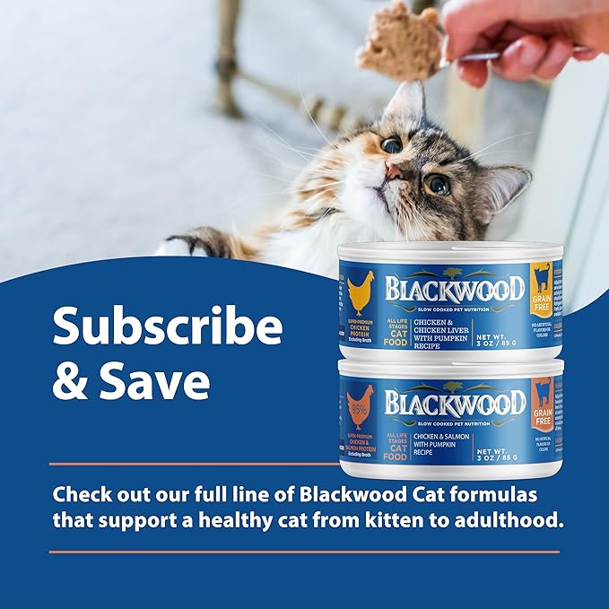 Blackwood Wet Cat Food, Chicken & Salmon with Pumpkin Recipe for All Life Stages, 3 Ounce Can (Pack of 12), Slow Cooked, Grain Free