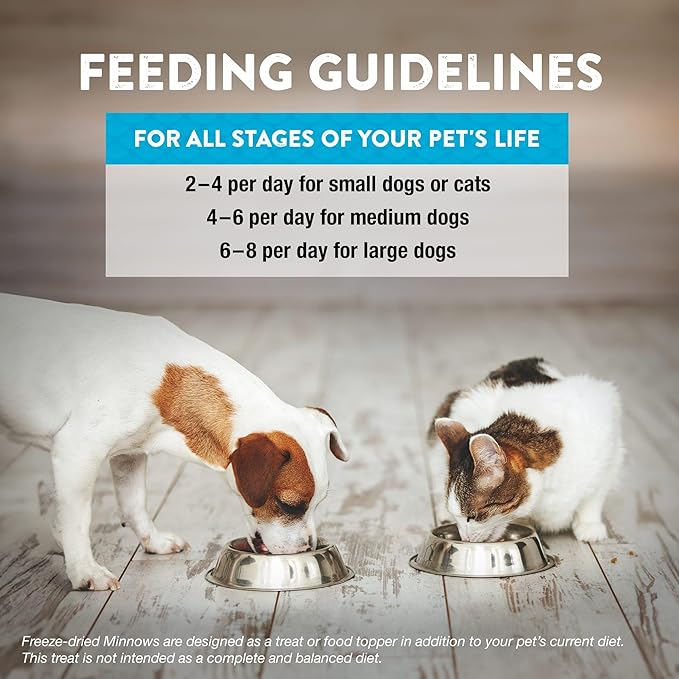 Northwest Naturals Raw Rewards Freeze-Dried Minnow Treats for Dogs and Cats - Bite Sized Pieces - Grain Free - 1 Ingredient - Healthy - Human Grade - All Natural - USA Made - 1 Oz