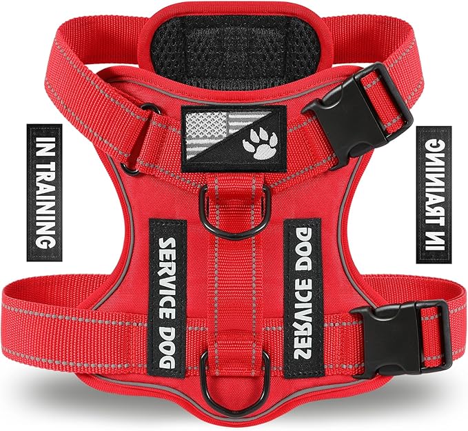 Demigreat Service Dog Harness, Reflective Dog Vest Harness with 5 PCS Patches, Adjustable Soft Oxford Pet Harness, Inner Layer Mesh, Easy to Control for Dogs (All-RED, Medium (Pack of 1))