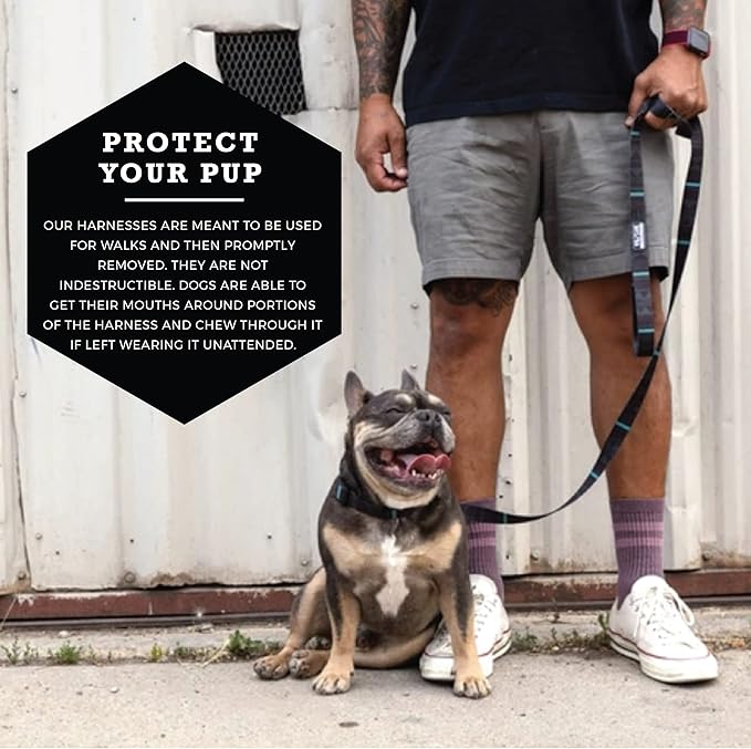 Wolfgang Heavy Duty Adjustable Dog Harness, Pull-Tested to Over 800 lbs for Walking & Training, NightOwl Print, Small