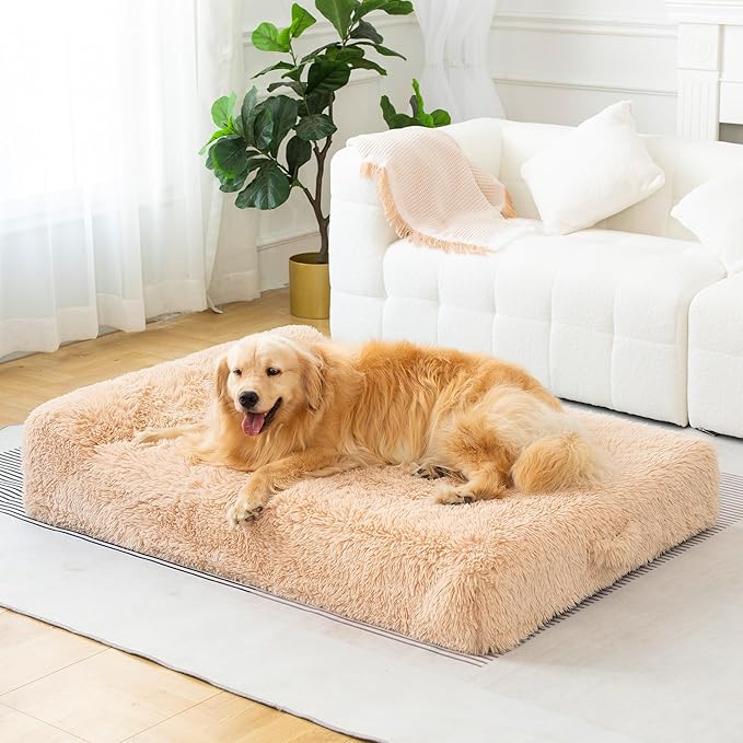 Jumbo Orthopedic Dog Bed for Large Dogs - 7-inch Thick Memory Foam Dog Bed with Pillow Removable Cover Machine Washable (Beige | Plush), 50''L x 34''W x 10''Th I Extra Large