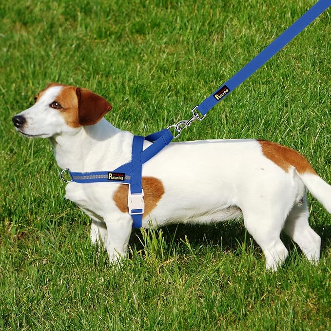 Plutus Pet Cotton Dog Harness and Leash Set, Reflective and Soft Padded, Quick Fit Vest Harness, for Small, Medium and Large Dogs, Royal Blue, S