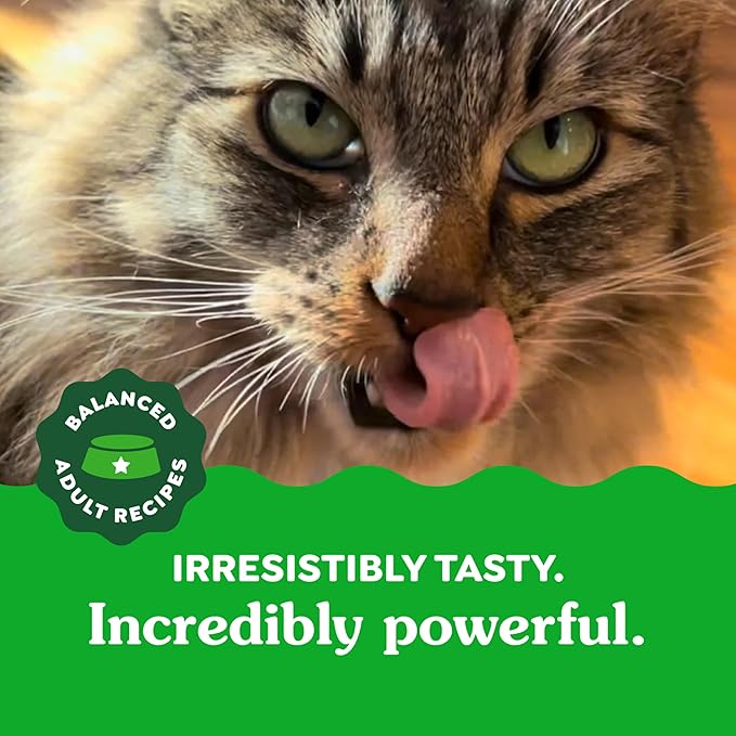 Greenies Feline Adult Dental Cat Treats, Savory Salmon Flavor, 9.75 oz. Tub