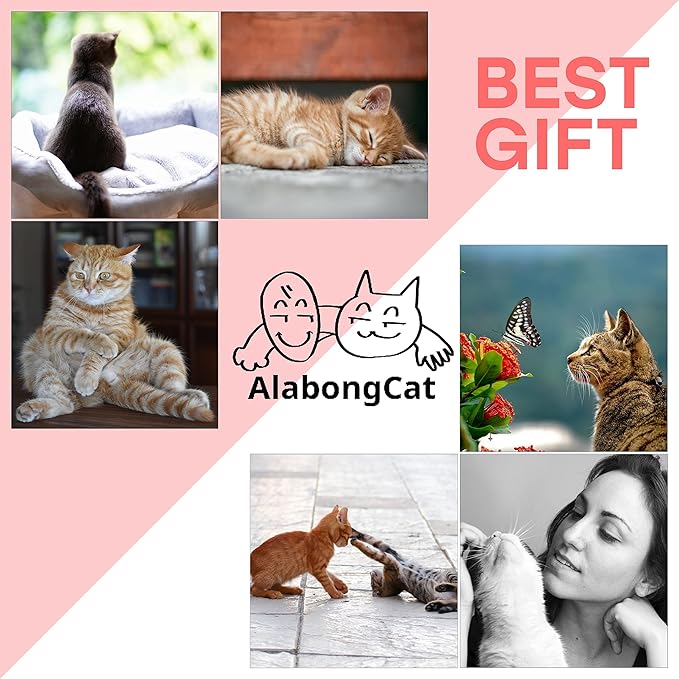 Interactive Cat Toy, A Chicken Catnip Toy and Pink & Green Plush Cat Teaser Wand Toys - Funny, Entertaining, and Stimulating Indoor Cats and Kittens Toys, 3-Piece Set