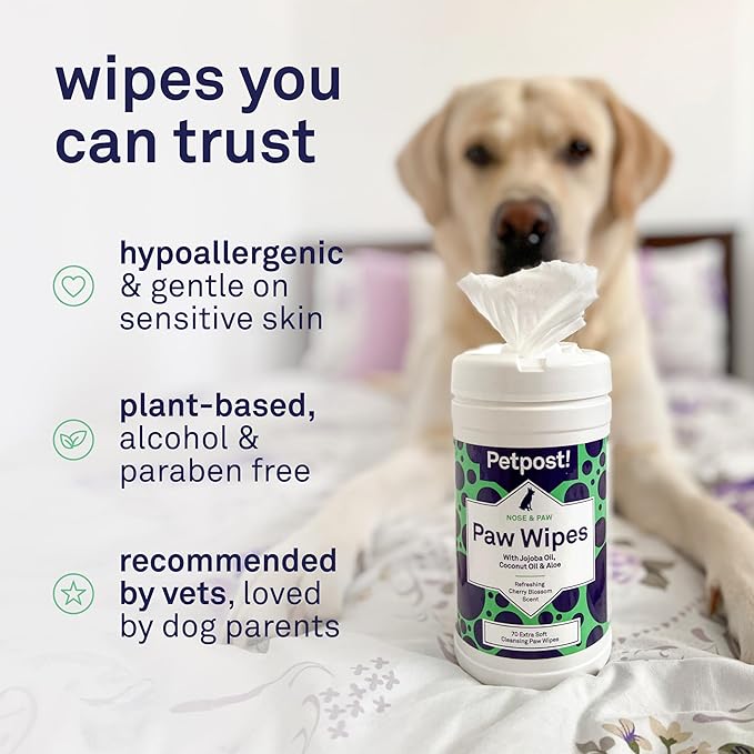 Petpost Paw Wipes for Dogs | 70 Count Dog Paw Cleaner Wipes with Coconut Oil, Jojoba Oil & Aloe | Gentle Pet Wipes for Paws | Large Ultra Soft Cotton Pads, Cherry Blossom Scent