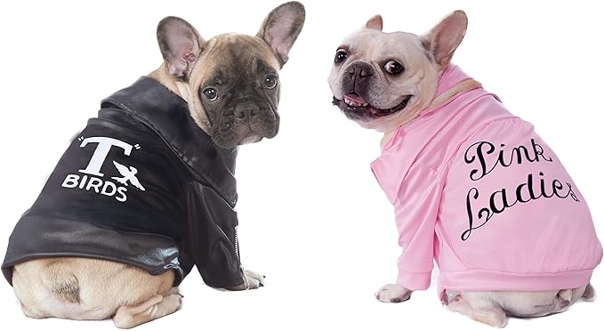 Grease: Pink Ladies Pet Costume for For Dogs or Cats by Rubies, Medium