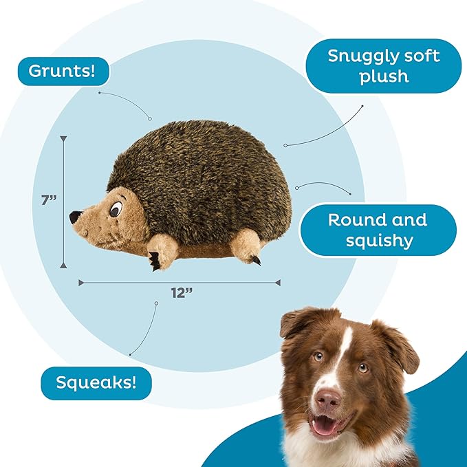 Outward Hound, Hedgehogz Plush Dog Toy, Large