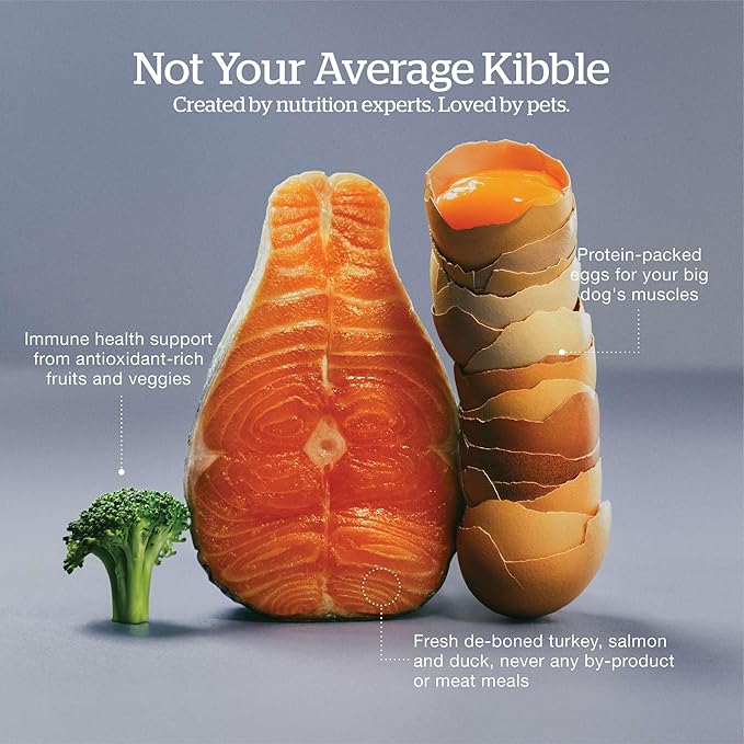 Now Fresh Grain-Free Large Breed Senior Dry Dog Food with Turkey, Salmon & Duck, Premium Kibble Made with Real Meat & Fish, Chicken-Free, Added Glucosamine & Chondroitin for Healthy Joints, 25 lb Bag