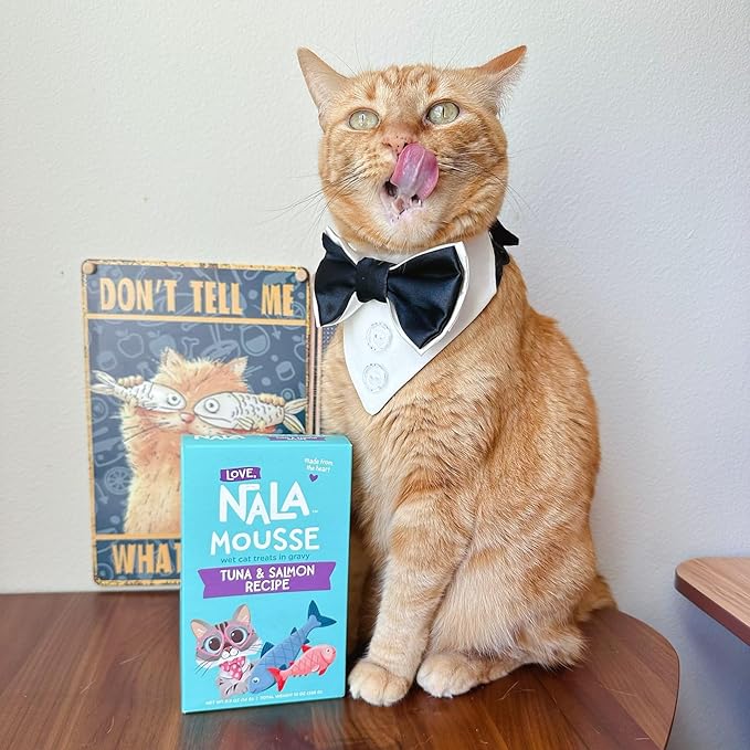 LOVE, NALA Lickable Cat Treats – Grain-Free Squeeze Up Mousse Puree for Cats – Natural, Tasty Wet Cat Treats – Tuna & Salmon Flavor – 24-Pack