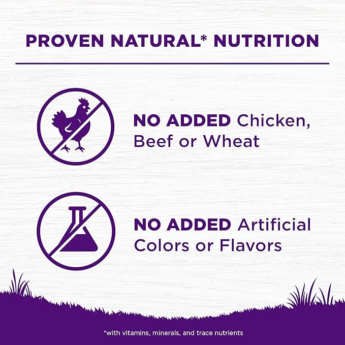 Wellness Complete Health Sensitive Skin & Stomach Dry Dog Food, Wholesome Grains, Natural, Salmon & Rice Recipe, (5-Pound Bag)