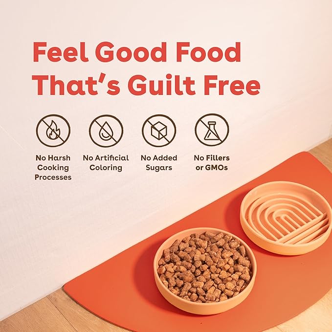 Pupford Good Dog Food, Freeze-Dried Raw, High-Protein, Superfood Ingredients, Vet-Approved, No Fillers or Artificial Additives (Beef Recipe, 16 oz)