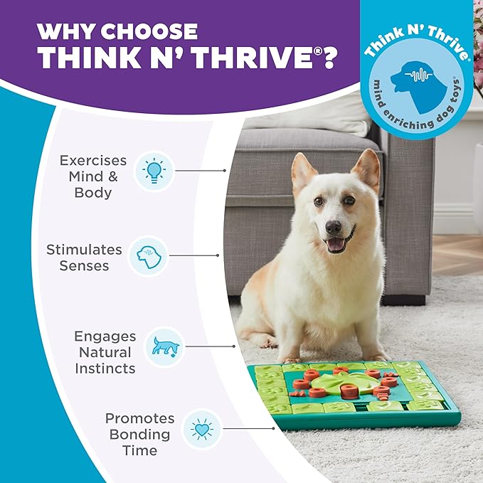 Outward Hound by Nina Ottosson Multipuzzle Level 4 Expert Dog Treat Puzzle for Enrichment, Blue