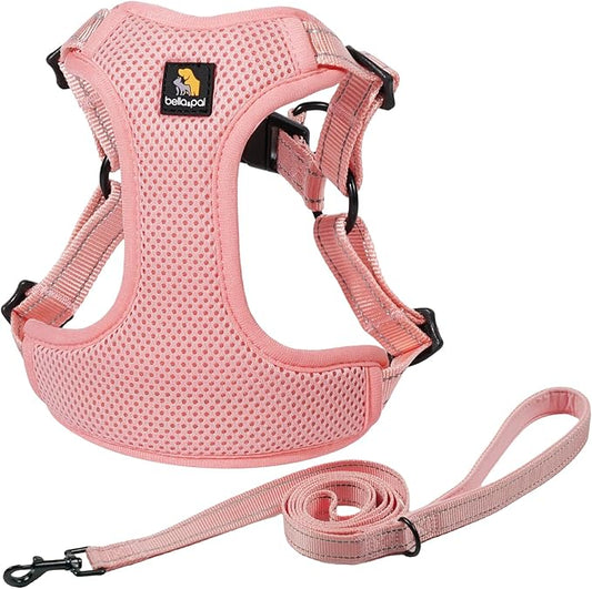 BELLA & PAL Adjustable Step-in Dog Harness, Puppy No-Pull Vest with Leash Set for XS/Small & Medium Dog, Breathable All-Weather Mesh, Reflective Strip, Secure Hook & Loop, Buckle Closure, Dual D-Rings