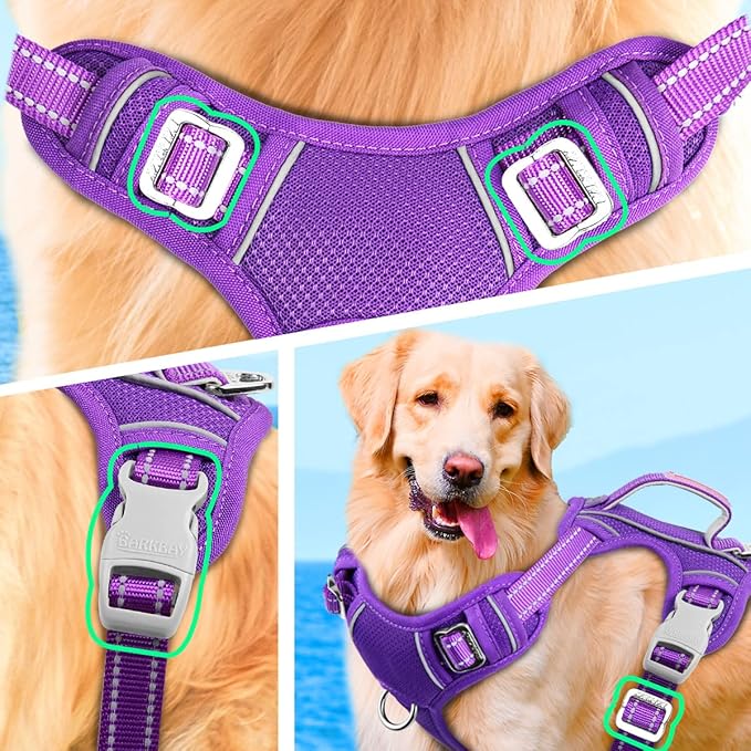 BARKBAY No Pull Dog Harness Large Reflective Dog Harness with Front Clip and Easy Control Handle for Walking Training Running with ID tag Pocket(Purple,XL)
