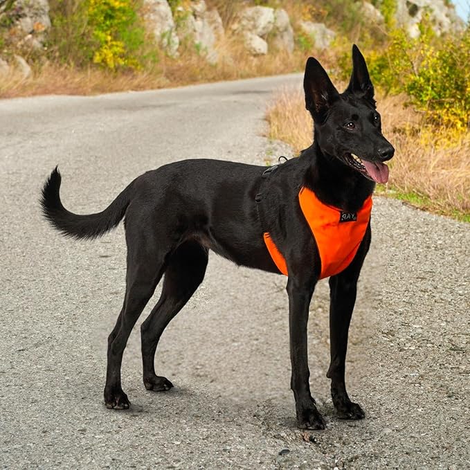 YAP Techno® Anti Pull Dog Harness, 4-Way Adjustable, Dog Vest Harness with Easy Control Handle, No Choke Dog Harness for All Breeds; 90-175 lbs (Royal Purple, Extra Large)