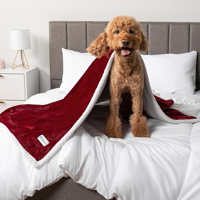 PetAmi Waterproof Dog Blanket for Medium Large Dog Puppy Cat Throw for Couch Cover Leakproof Protection, Sherpa Fleece, Reversible Soft Washable 60x40 Wine Red