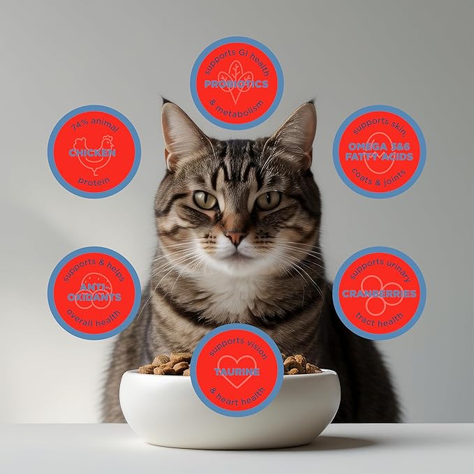 Blackwood Dry Cat Food, Special Diet Formula for Sensitivities, Chicken Meal & Field Pea Recipe, 13.2 Pound Bag, High Protein, Slow Cooked, Grain Free