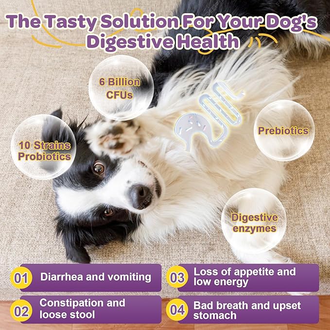 Probiotics for Dogs – 6 Billion CFUs & 10 Strains with Prebiotics, Omega-3, Digestive Enzymes & Multivitamins, Dog Probiotics for Digestive Health, Immune Support, Skin & Coat, 120 Duck Flavor Chews