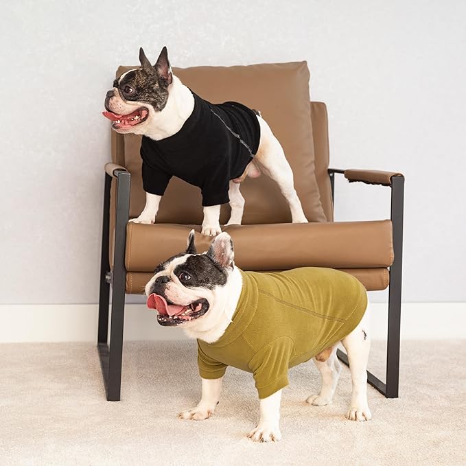 Fitwarm 3 Pack Classic Fleece Dog Sweater, Winter Clothes for Small Dogs Boy Girl, Turtleneck Dog Sweatshirt, Pet Pullover Jumper, Cat Apparel, Black, Olive Green, Cream, Large