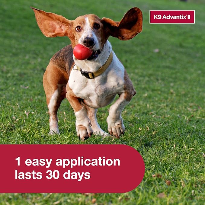 K9 Advantix II Small Dog Vet-Recommended Flea, Tick & Mosquito Treatment & Prevention | Dogs 4-10 lbs. | 6-Mo Supply