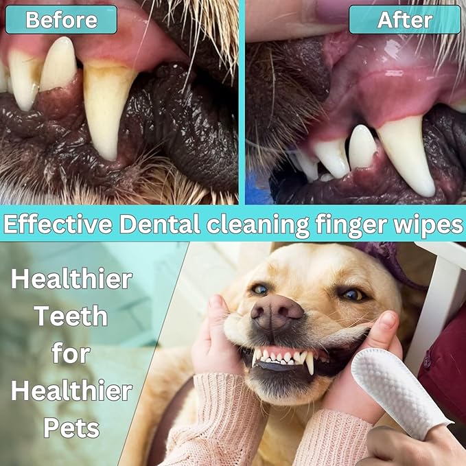Pet Dental Finger Wipes for Dogs & Cats – Dog Tooth Wipes & Toothbrush Alternative – Easy Teeth Cleaning to Reduce Plaque, Tartar & Bad Breath – Vet-Approved Cat & Dog Oral Care (2 Pack).