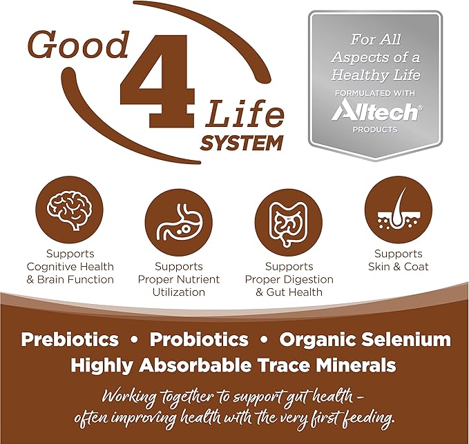 NutriSource Adult Dry Dog Food for Large Breeds, Lamb Meal and Rice, 26LB