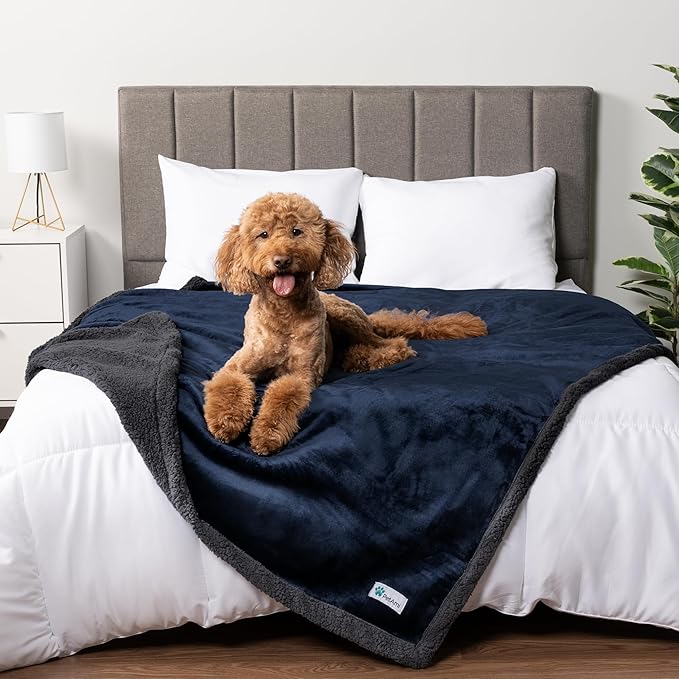 PetAmi Waterproof Dog Blanket for Medium Large Dog Puppy Cat Throw for Couch Cover Leakproof Protection, Sherpa Fleece, Reversible Soft Washable 60x40 Navy Gray
