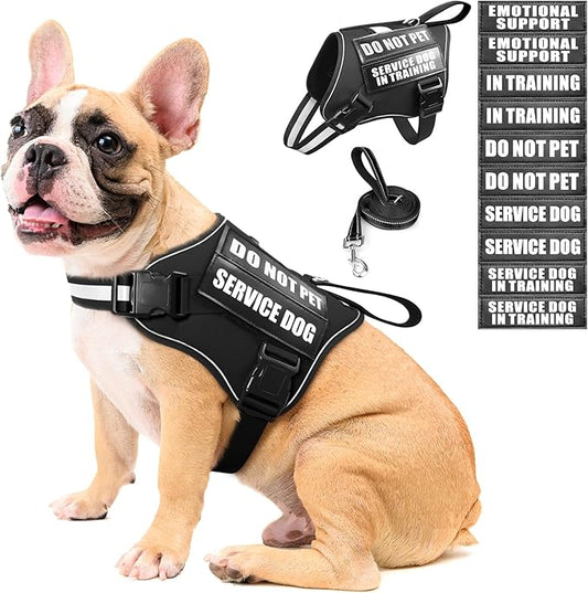 Service Dog Vest Harness and Leash Set+10 Patches,No Pull&Easy Walk Reflective Dog Harness with Soft Padded Handle for Training/Everyday,Fit Small/Medium/Large/Extra-Large Dogs(Black M)