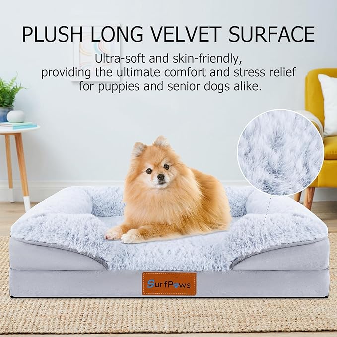Orthopedic Dog Bed with Memory Foam - Luxurious Plush Surface, Removable & Washable Cover, Non-Slip Bottom, Dog Sizes (Small)