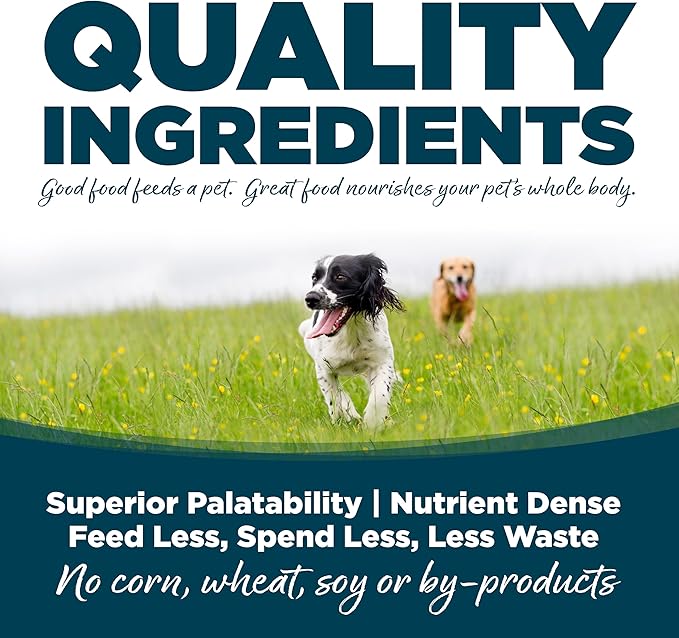 NutriSource Adult Dry Dog Food, Small Bites, Chicken and Rice, 4LB