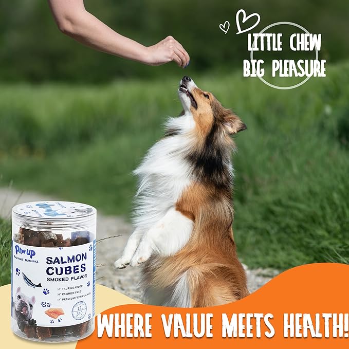 Salmon Dog Treats, Healthy Salmon Bites, Dog Jerky Training Treats with Taurine, Rich in Omega-3, 12oz (Smoked Flavor)