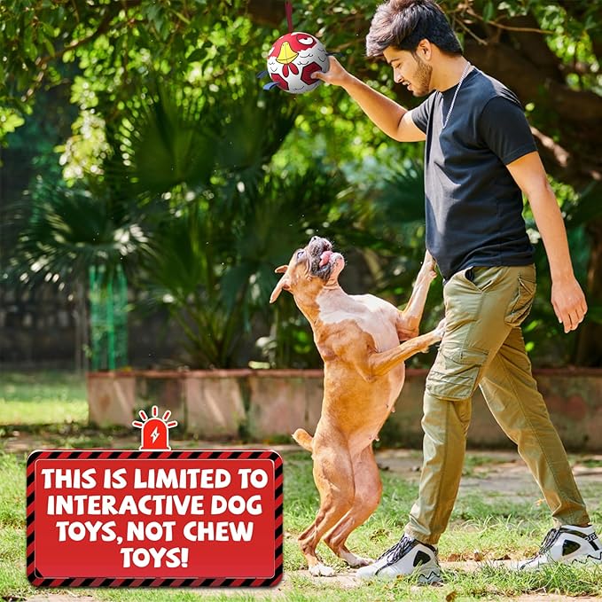 Qdan Chicken Dog Soccer Balls with Straps, Durable Dog Toys for Tug of War, Birthday Gift, Water Toy (8 Inch)