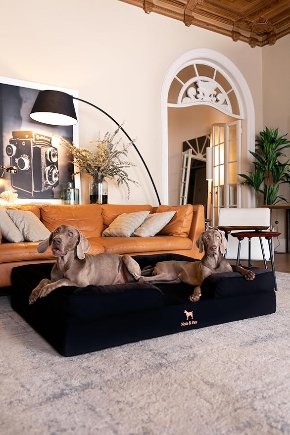 NOAH & PAW Giant Dog Bed XXL, 55x45x11 Inch, Orthopedic Dog Beds, Eggshell Memory Foam Infused with Cooling Gel, Inner Cover, Waterproof, Machine Washable (Denim Sofa Collection)