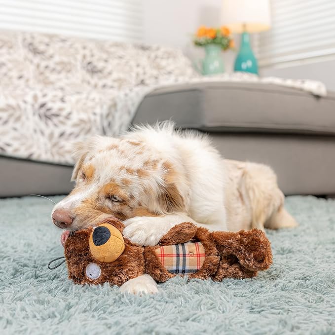 Huxley & Kent Slappies for Dogs | Beary Styles (Small) | Squeak & Shake Dog Toy | No Stuff Squeaky Toy, TPR Ball in Head | Simulates Hunting Nature for Dogs