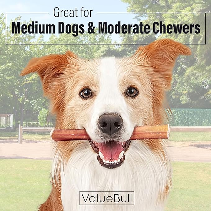 ValueBull Bully Sticks for Dogs, Medium 6 Inch, 25 Count - All Natural, Grass Fed, Single Ingredient, Long Lasting Dog Treats