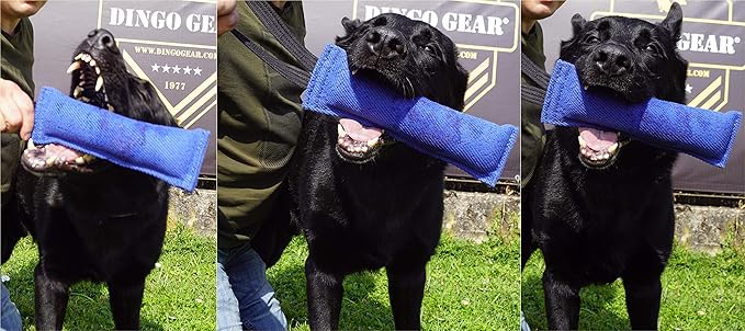 Dingo Gear Nylcot Bite Tug for Dog Training K9 IGP & Fun, 1 Handle, Orange 28 x 7 cm