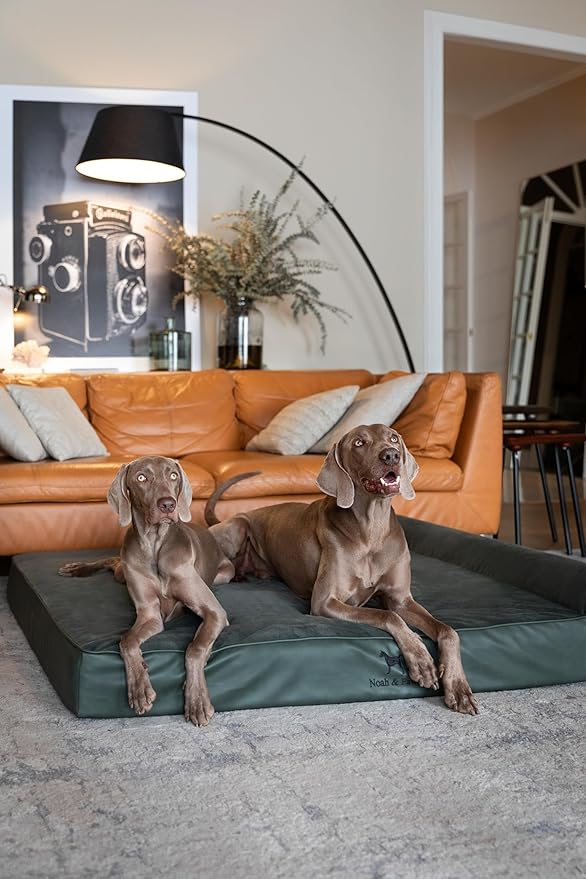 NOAH & PAW Giant Dog Bed XXL 55x45x9.5 Inch, Orthopedic Dog Beds, Eggshell Memory Foam Infused with Cooling Gel, Waterproof, Machine Washable, Includes Inner Cover (Faux Leather)