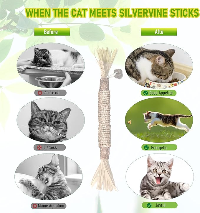 GBSYU 3 Pack Silvervine Cat Toy, Silvervines Sticks Cat Toys for Indoor Cats, Cat & Kitten Chew Toys for Aggressive Chewers, Cat Dental Toy for Kitten Teeth Cleaning, Matatabi Silvervine for Cats