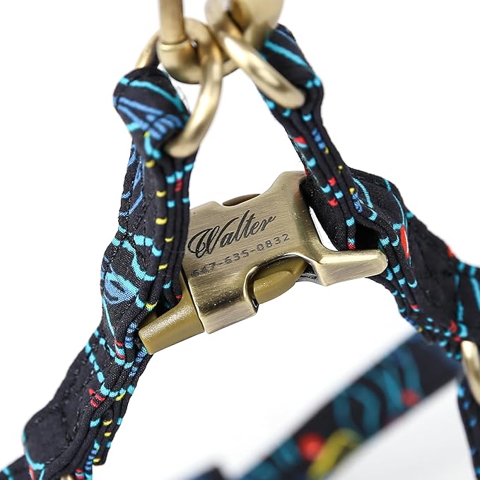 Angie and Allie Organic Cotton Personalized Step in Dog Harness,Custom Dog Halter Vests,Adjustable No Pull Canine Halter Harness for Small Medium Large Dogs